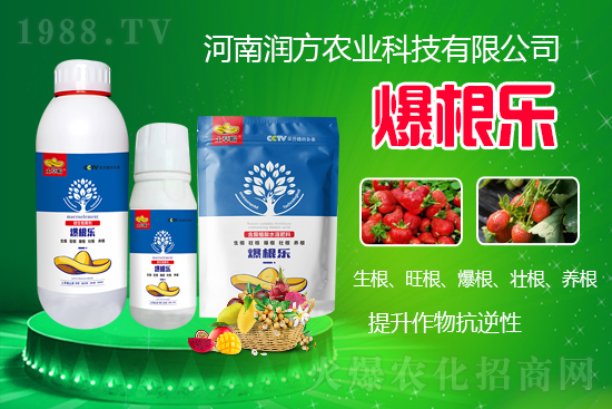     ���ϝ����r(n��ng)�I(y��)�Ƽ����޹�˾��΢�������-������-����ñ���Ɏ���ֲ�ｨ�����я���ĸ�ϵ�����Mֲ������B(y��ng)�֡�ˮ���c���w�������������������������������Ѹ����B(y��ng)����������������