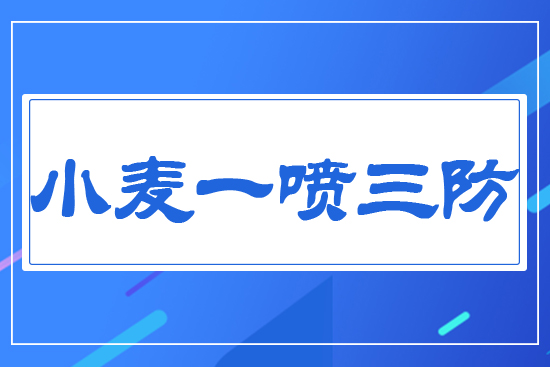 С��һ������0