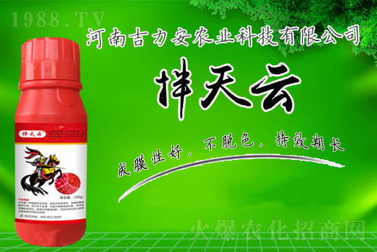 ������ô���N���N�����N�ӕ��p�a����