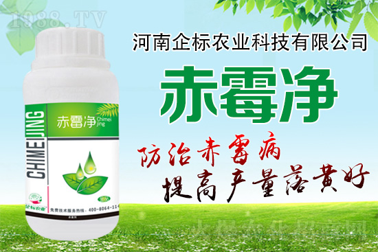 �o�����ѣ�δ��(l��i)ʮ����С����ù�������P(gu��n)�I�ڣ���(w��)��ץ����