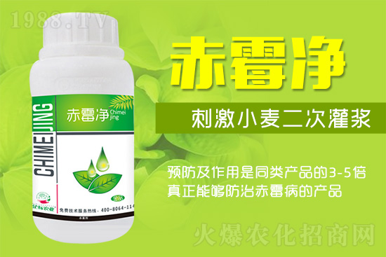 �o�����ѣ�δ��(l��i)ʮ����С����ù�������P(gu��n)�I�ڣ���(w��)��ץ����