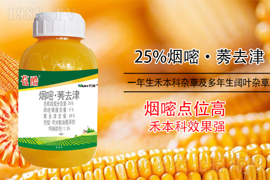 ���׳������e���@�׷N���݄���