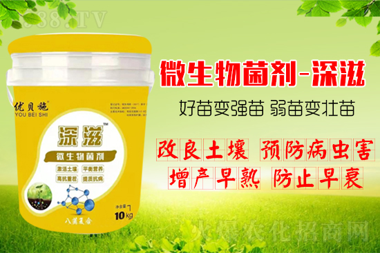 ������α��l(f��)ʽ�������������B(y��ng)�������������