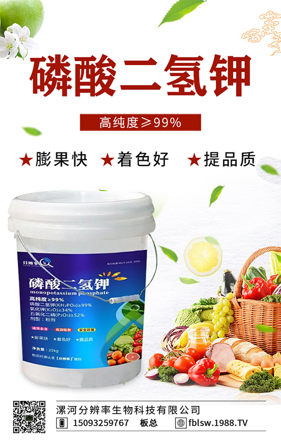 �~��ʵć�ʩ�`�^(q��)���@���c(di��n)�e������