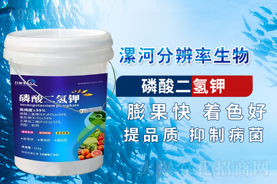 �~��ʵć�ʩ�`�^(q��)���@���c(di��n)�e������