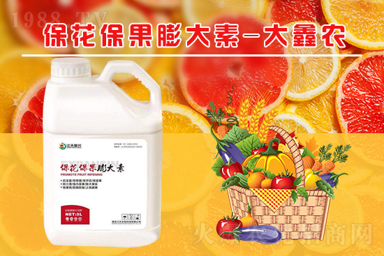 �ļ���������ٲ�������α������