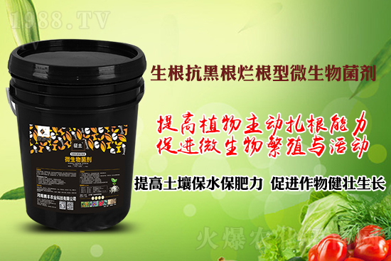 ����ڸ��������S�������l�l(f��)���á������p�ɽ�Q�����f�Nֲ����������