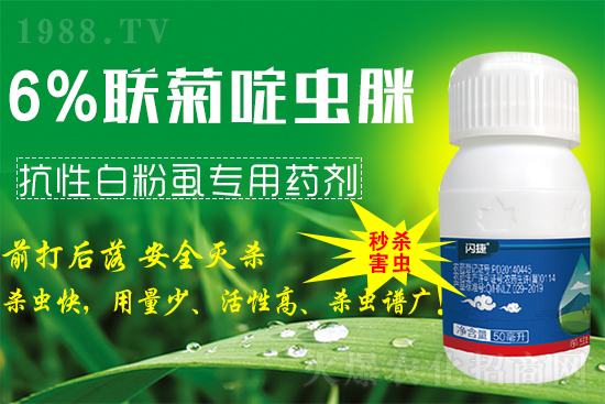 ϲ����1988.TVϲӭ���������̎��r(n��ng)�I(y��)���݁��u��