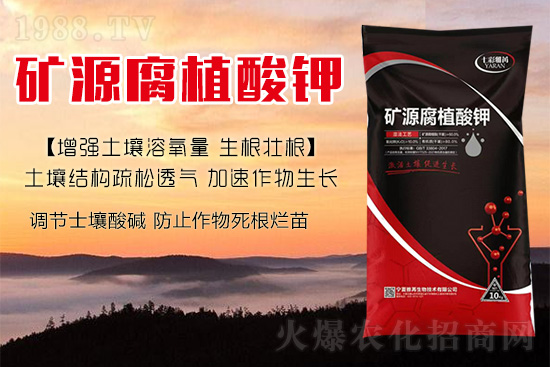 ����Nֲ���������ׂ��������Ӹ��Ƹ�ϵ��r�أ�