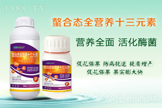 ����ȱ��΢��Ԫ������Щ���F(xi��n)������a�����s���ղ�������