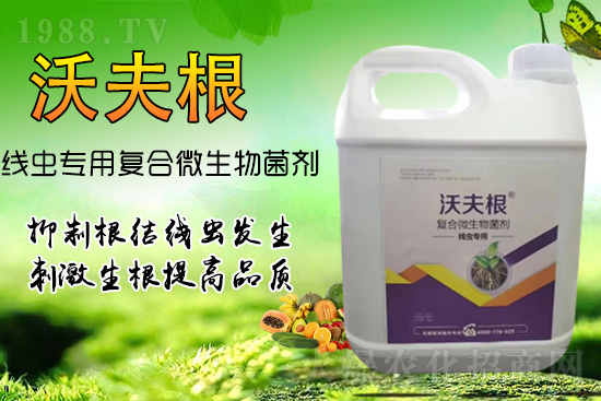 ���Y(ji��)���x(ch��ng)��Ⱦ������������������������Ч����!