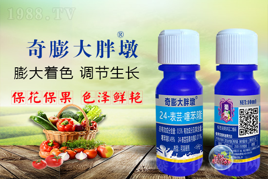     ������Ҫ�߮a(ch��n)��������P(gu��n)�I��������(sh��)���졢�D(zhu��n)ɫ�����u��ѣ����ڵĮa(ch��n)����Ʒ�|(zh��)����������(l��i)�S��Ĺ��r(n��ng)���r(n��ng)������ӳ�Լҵ���������ס���������������������������������ܛ���չ�����r�l���l(f��)����