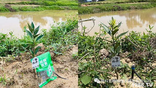 ���M(j��n)���g���^���������ٮa(ch��n)�I(y��)