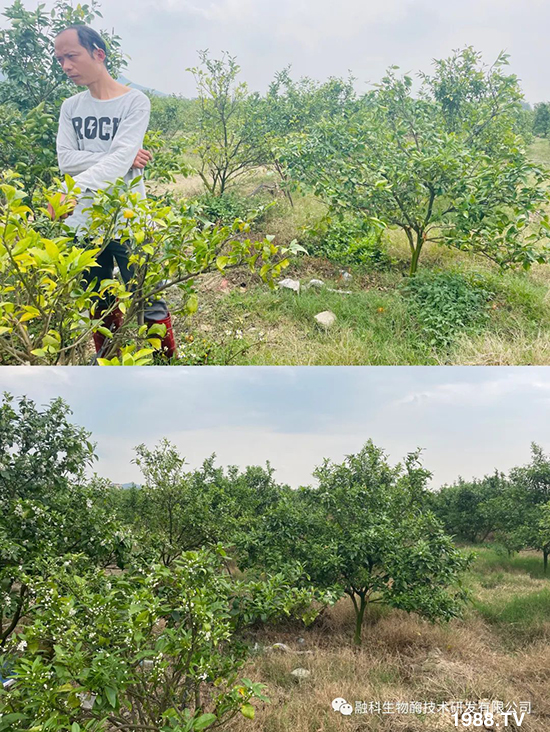 ���M(j��n)���g���^���������ٮa(ch��n)�I(y��)