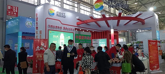 2022�����r�Y���[����չ����5