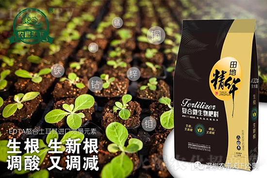 西瓜裂瓜怎么預防？了解這些西瓜滾滾品質(zhì)高！