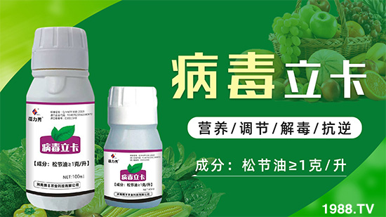 破解植物病毒防治難題!快速恢復(fù)生機(jī)!這個(gè)藥打上就管用!