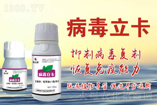 破解植物病毒防治難題!快速恢復(fù)生機(jī)!這個(gè)藥打上就管用!