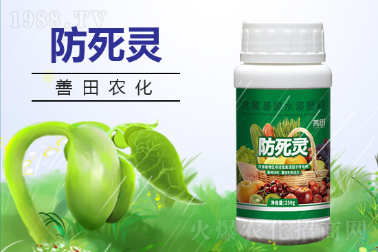 �Ĵ������r(n��ng)���Ƽ����޹�˾31