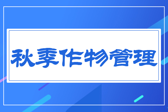 �＾�������