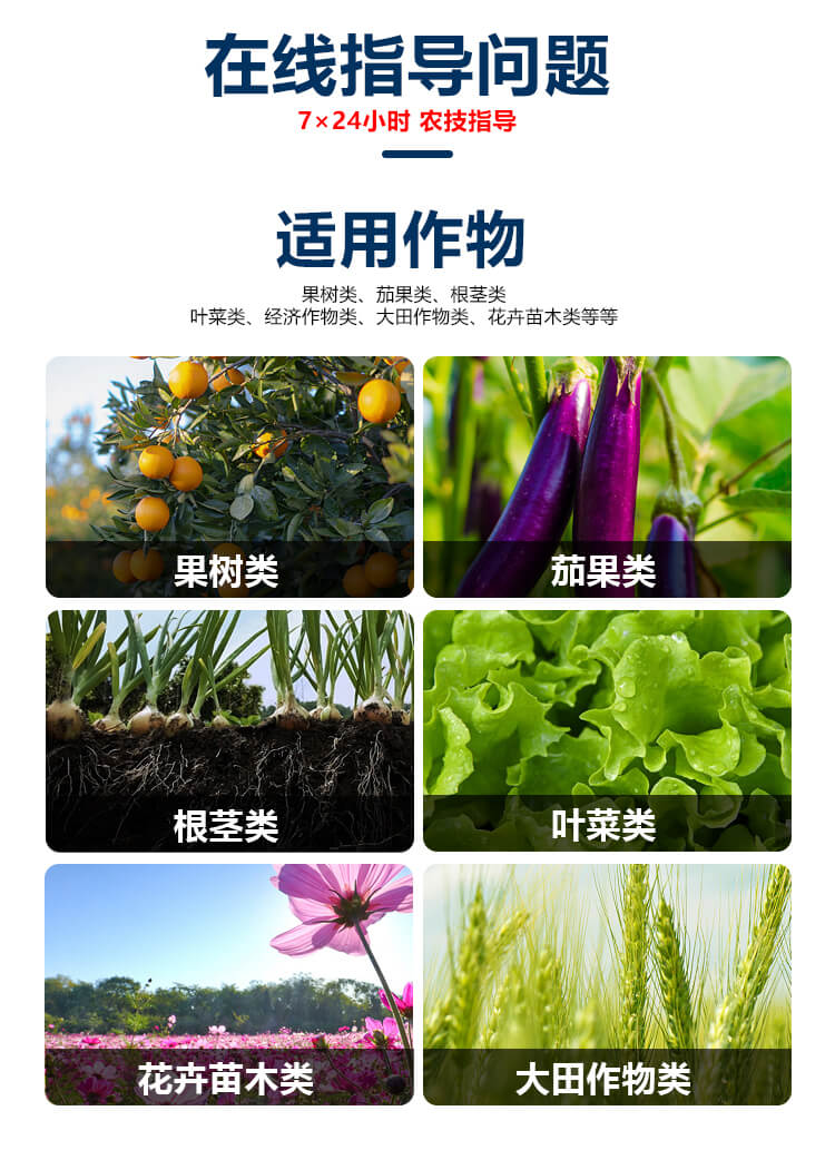 �ձ��M(j��n)���~����ԭ�{7