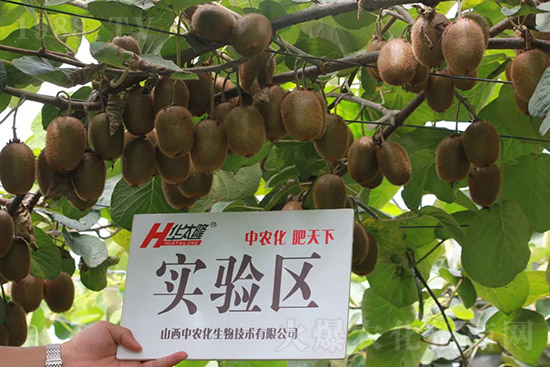 �J����������c(di��n)����Щ���J����������ôʩ