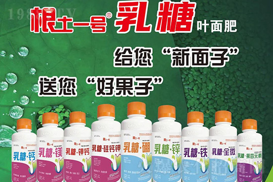 �J����������c(di��n)����Щ���J����������ôʩ