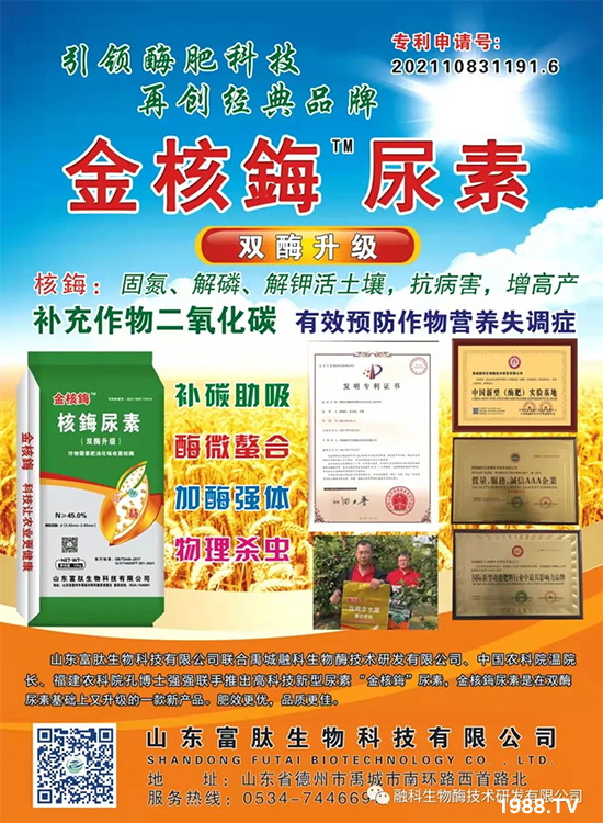 �����ڿ�����ø���g(sh��)�аl(f��)���޹�˾6