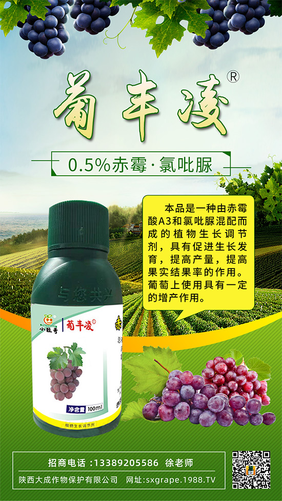 ���ѹ���ϡ������С����(y��n)����ô�k���@Щ�����ஔ(d��ng)��Ҫ