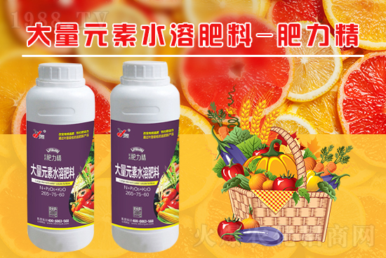 꿾����F(tu��n)14