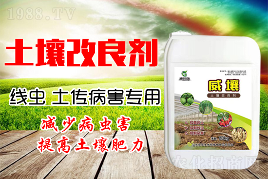 222������Y(ji��)���x������������(y��n)��������һ�з�������