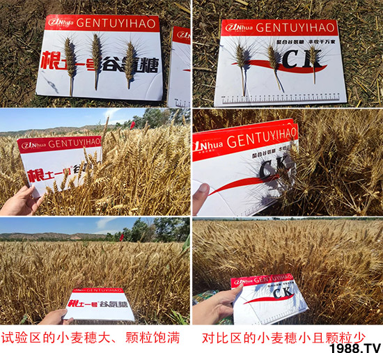 ɽ�����r(n��ng)�����＼�g(sh��)�ɷ����޹�˾25