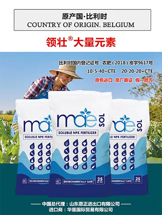 ��500�2000���߶��M(j��n)�ڷʡ��ԃr(ji��)�Ȱ�����