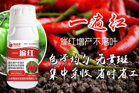 ������ʲôҪ���t���������t��ɫ�Ă�(g��)���Ӻ���