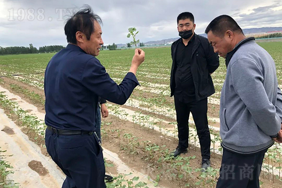 ���r(n��ng)���½������k��̎ؓ(f��)؟(z��)�ˣ�ͬ·ͬ�й��l(f��)չ