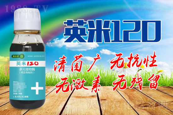 ��轰׷۲��İY����ʲô����轰׷۲����η�����