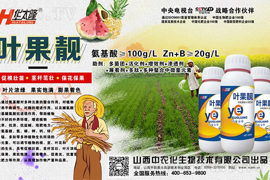     �O������С��ʲôԭ������Q��������Щ��