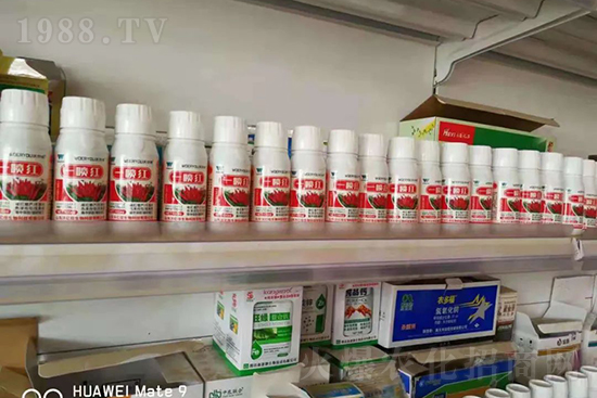 增紅率提高95%！催紅不落葉！收入翻幾番！就用辣椒一噴紅！