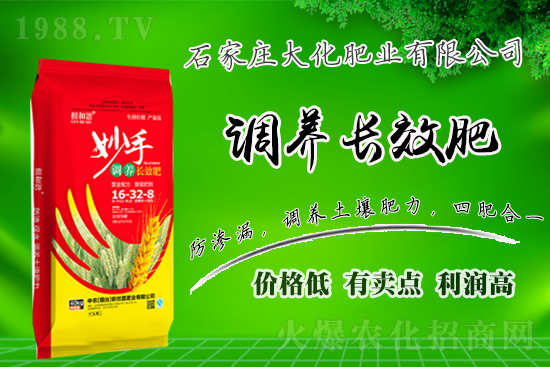 ��(zh��n)�Ժ���������(j��)��ʯ���f�󻯷ʘI(y��)�ٴκ��s1988.TV��