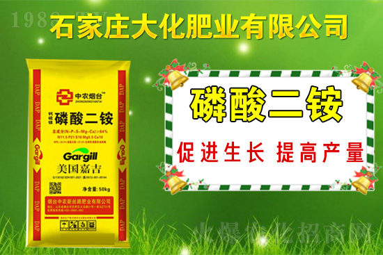 ��(zh��n)�Ժ���������(j��)��ʯ���f�󻯷ʘI(y��)�ٴκ��s1988.TV��