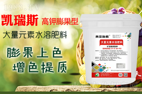     ���M(j��n)���������ɫ���@��(g��)�䷽��(zh��n)�]�e(cu��)���������|(zh��)���a(ch��n)��