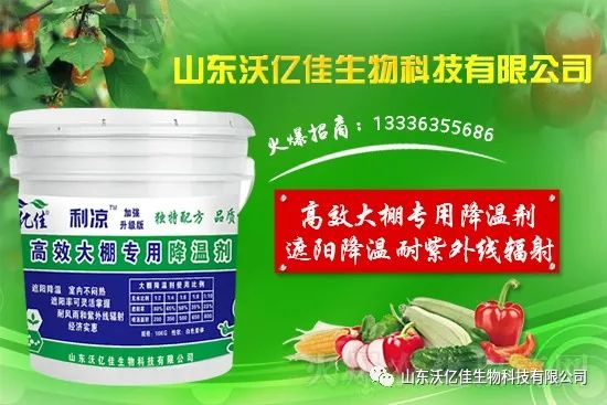 ΢�ňDƬ_20220701095111