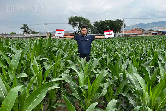 ��Դ������������I(y��ng)�B(y��ng)�a(b��)��ȫ����