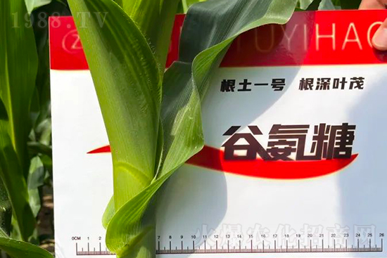 ��Դ������������I(y��ng)�B(y��ng)�a(b��)��ȫ����