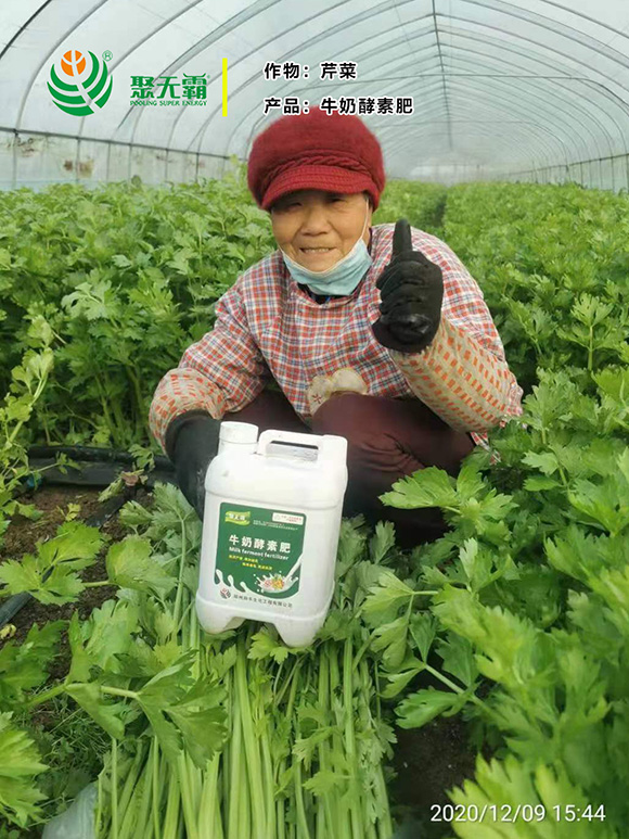 牛奶酵素肥-聚無霸2