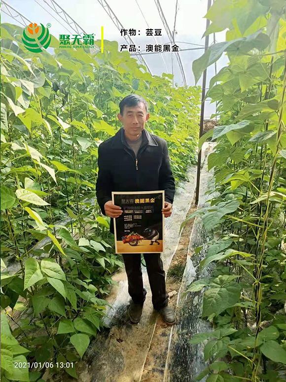 礦源腐植酸水溶肥料-澳能黑金-聚無霸4