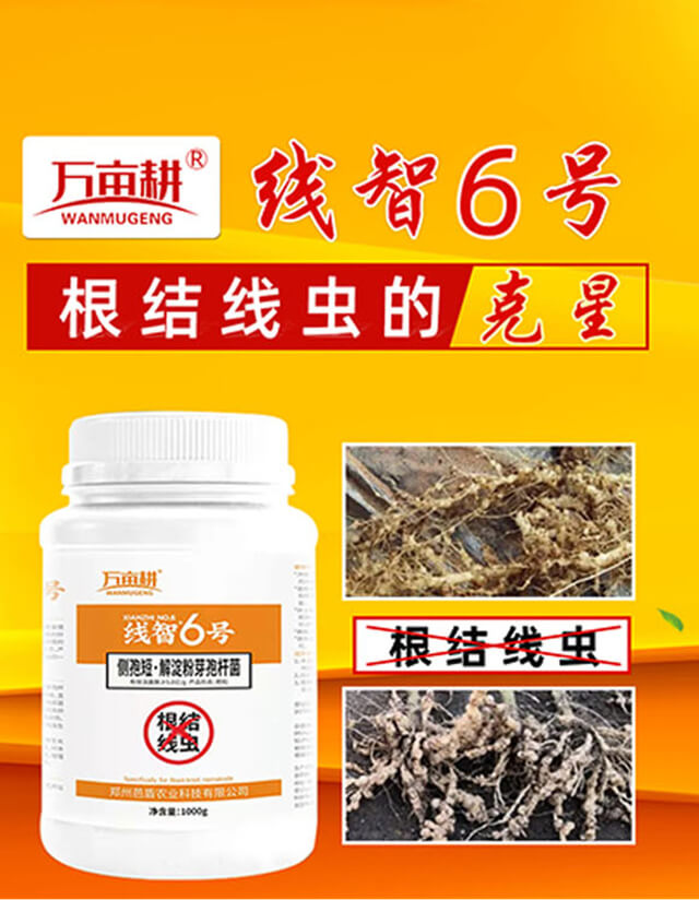 ����6̖-��ķ��_01