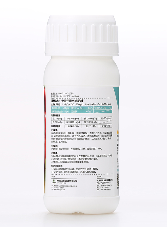 �͂��_������5