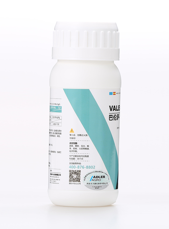 �͂��_������6