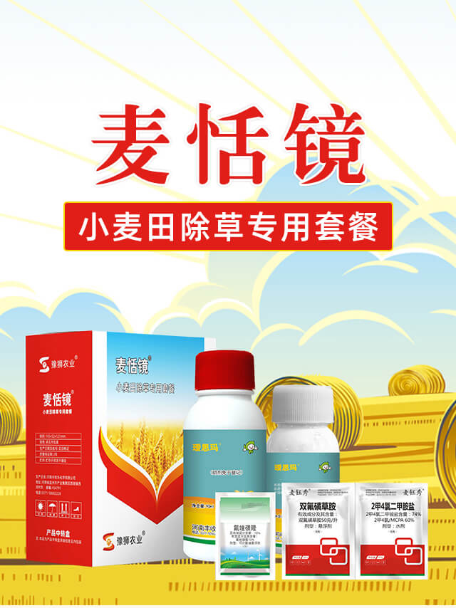 �����R-�S�՘�_01